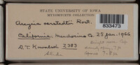 Image Associated With the Occurence